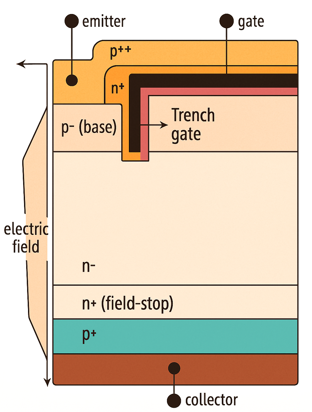 Concept Diagram of Sliced Cross-Section of IGBT